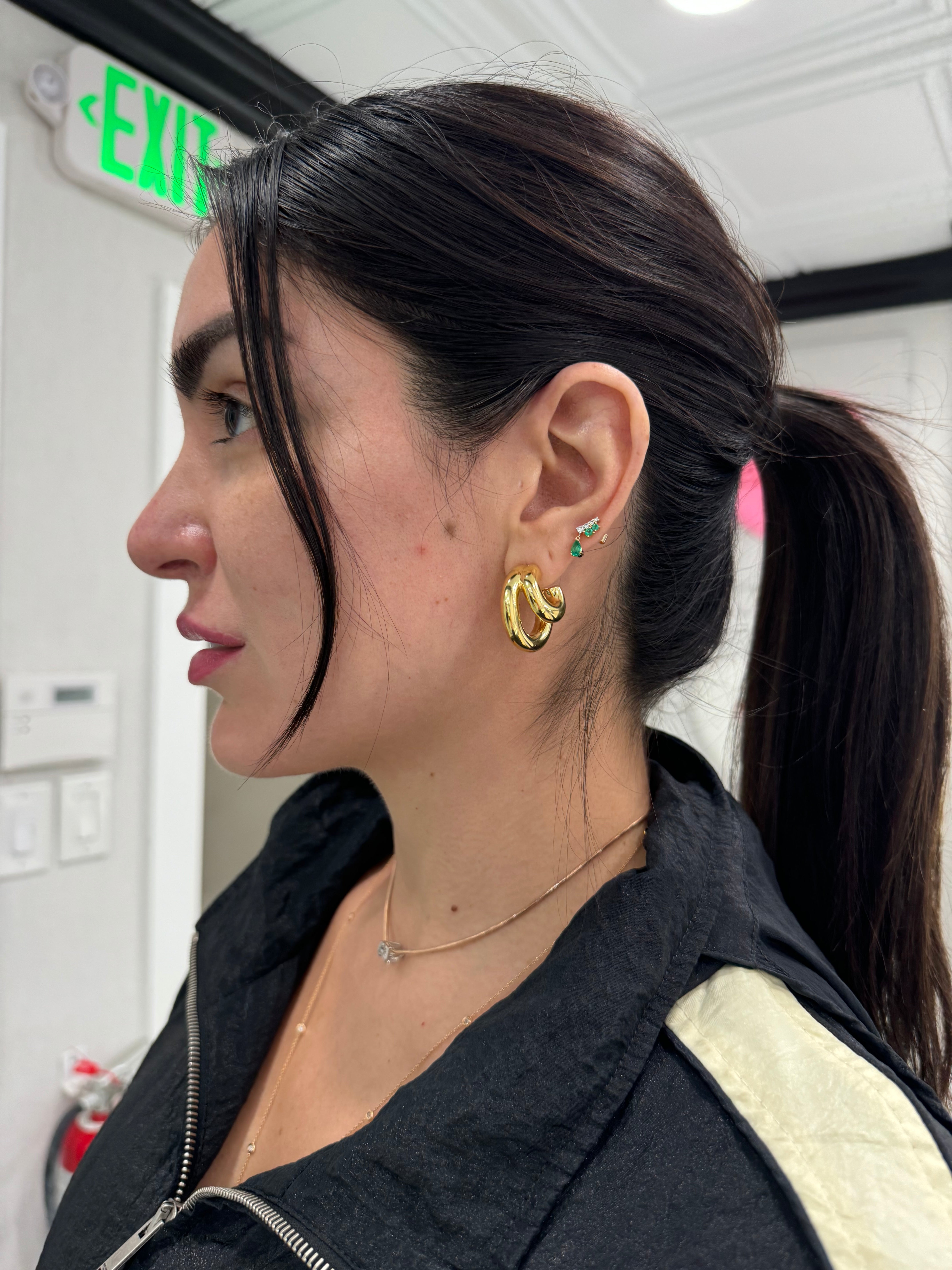 Double Hoop Earrings