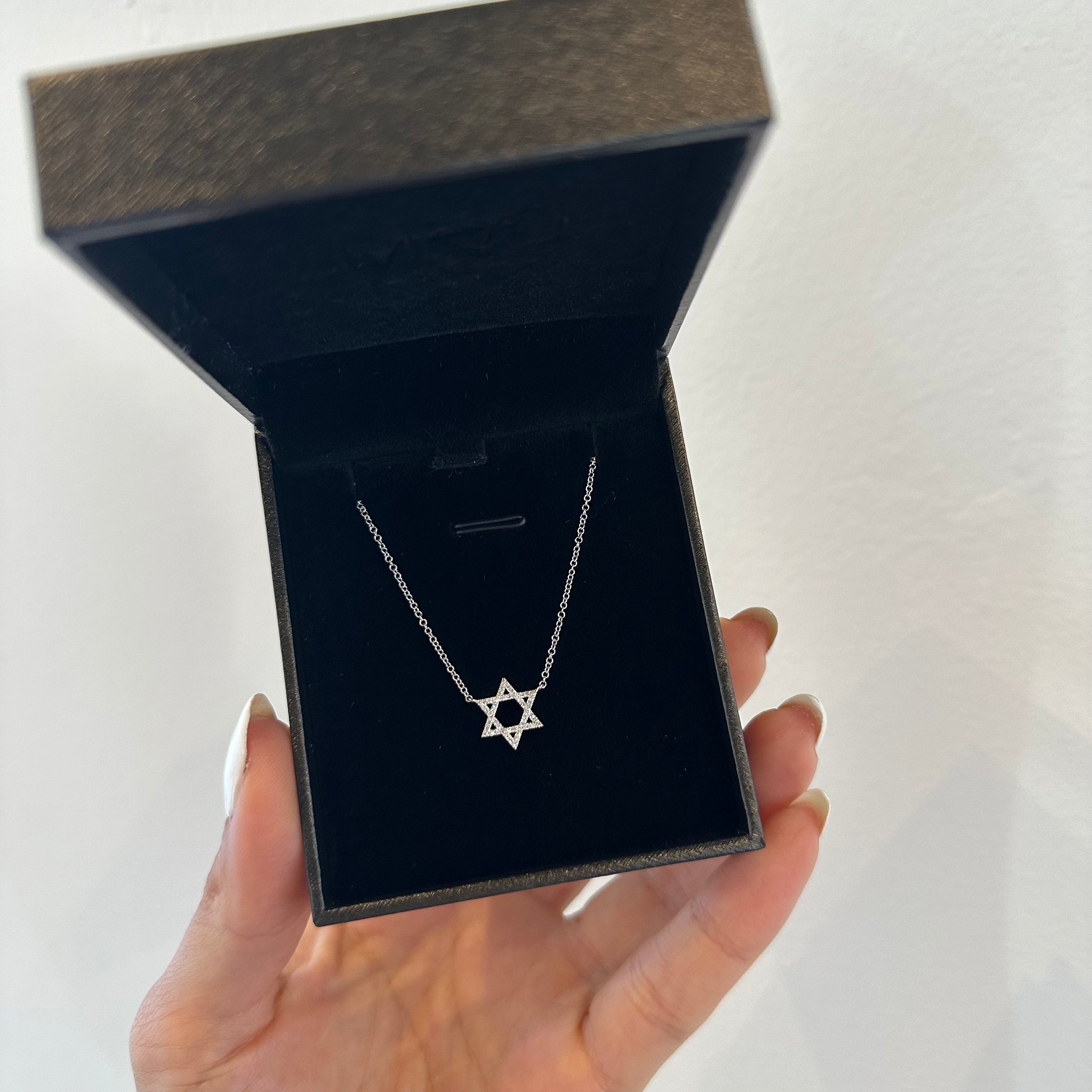 Star of David Necklace