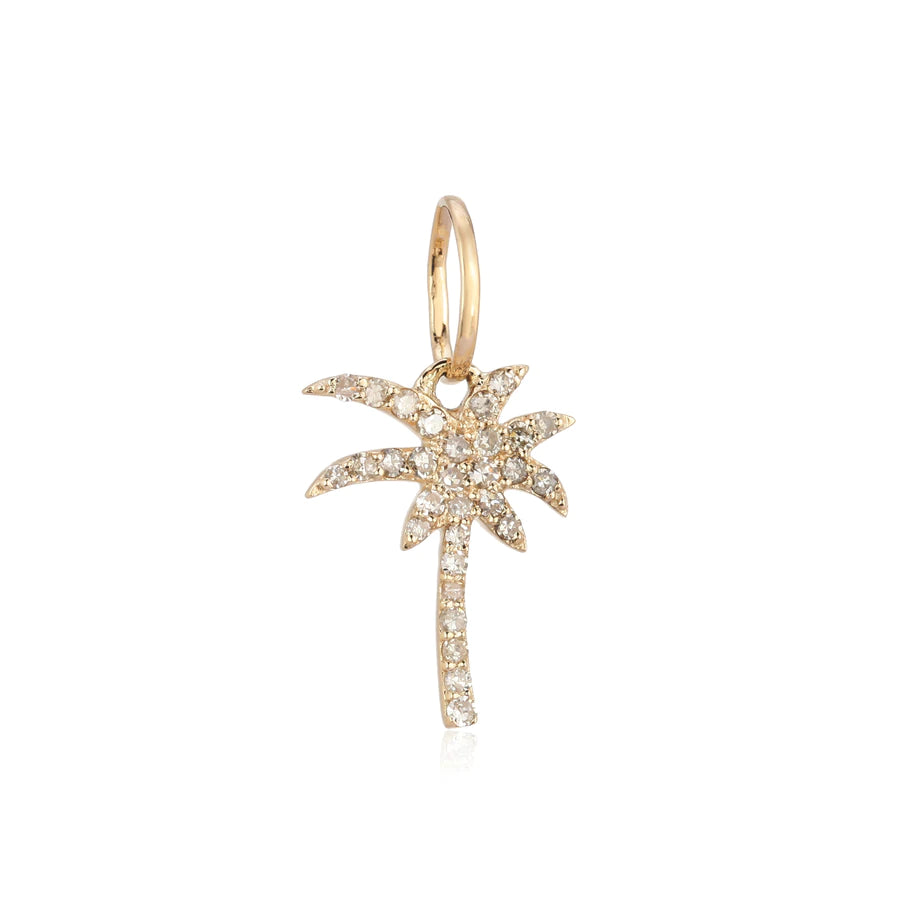 Palm Charm