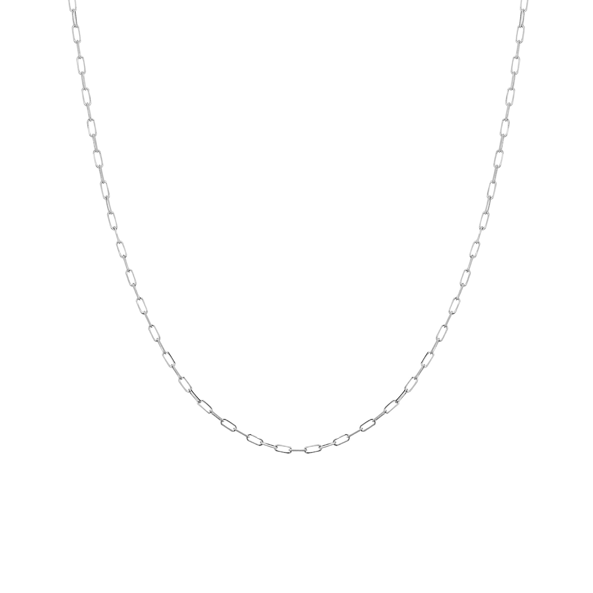 2.10 Forsentina Chain