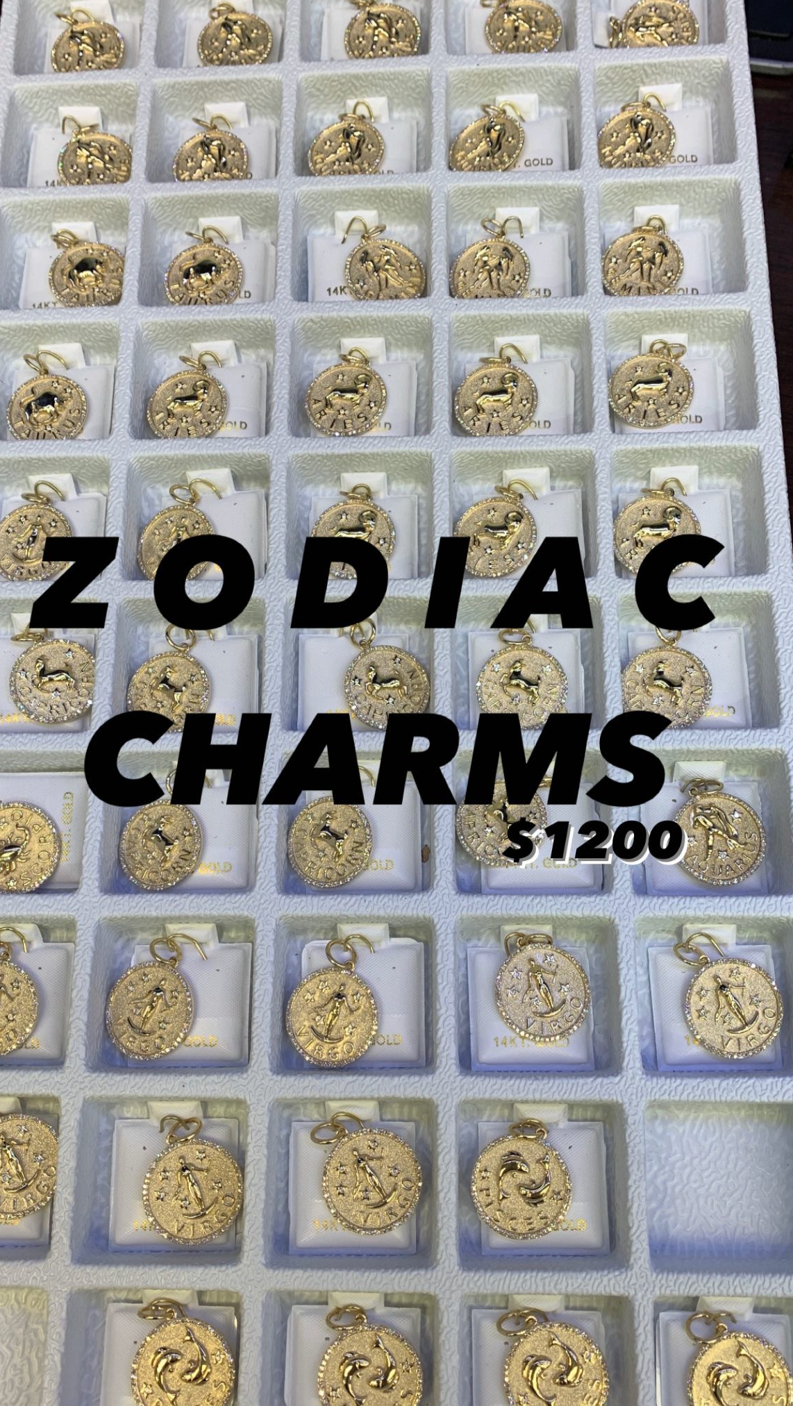 Zodiac Charm